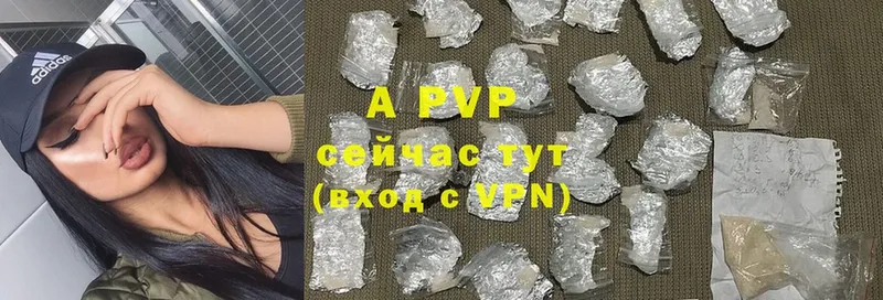 A PVP СК КРИС  Кириши 