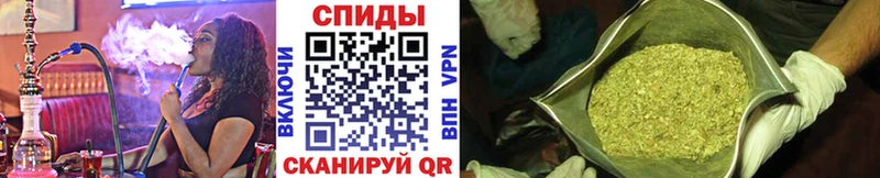 shop формула  Кириши  Бутират BDO 33%  как найти  