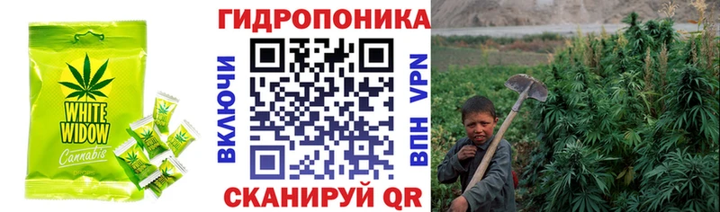 Canna-Cookies конопля  Кириши 