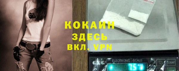 крисы Дегтярск