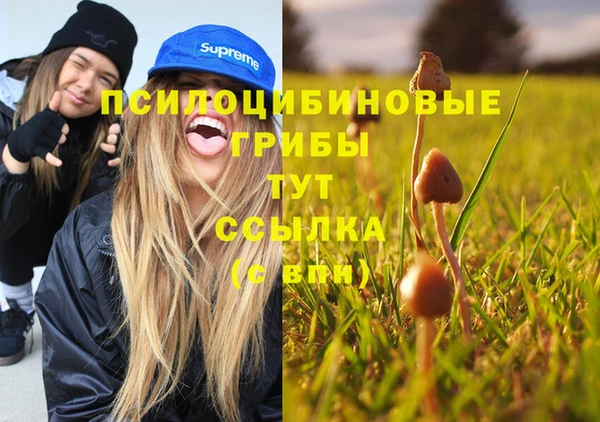 спиды Красавино