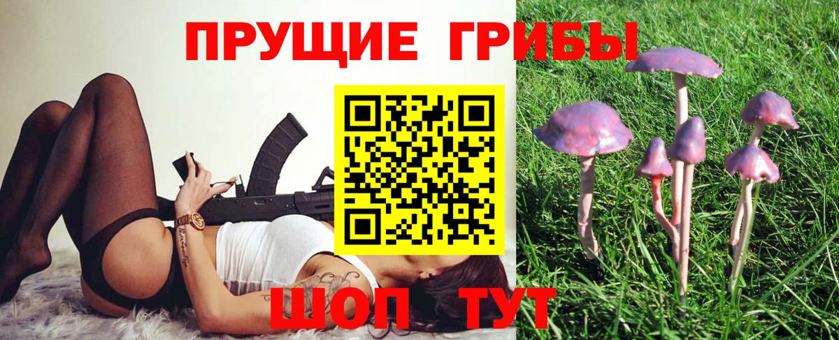 Псилоцибиновые грибы Magic Shrooms  Вход с VPN  Кириши 