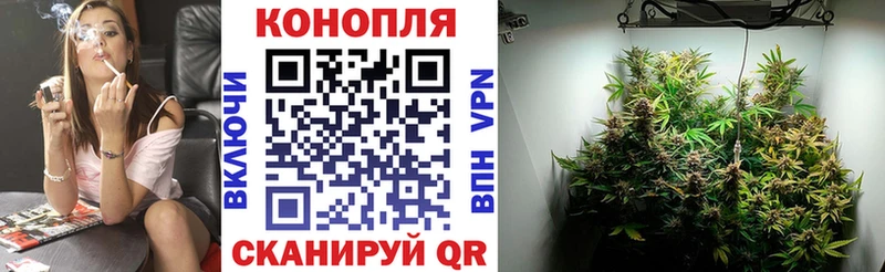 как найти закладки Кириши Конопля ГИДРОПОН